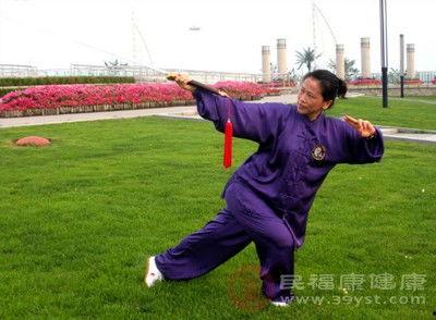 武术动作视频,动作视频中的招式解析与技巧提炼