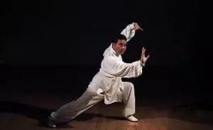 武术动作视频,动作视频中的招式解析与技巧提炼