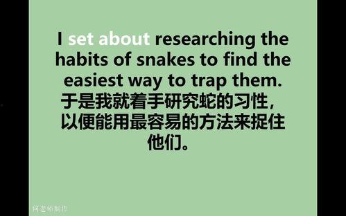 高中英语视频教学视频,互动式学习新体验