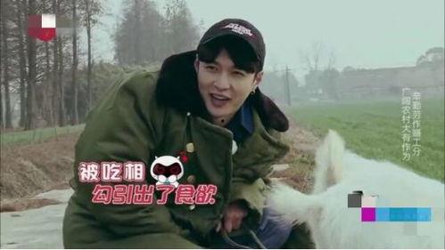 今日吃瓜王一博姜潮,娱乐圈风云再起