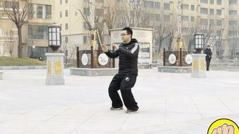 太极拳视频,探寻传统武术的养生奥秘