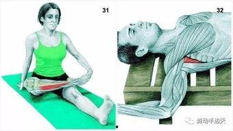 拉筋视频,轻松解锁身体潜能，体验健康生活新境界