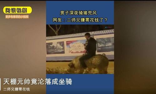 骑猪视频,骑猪视频带你领略别样风情