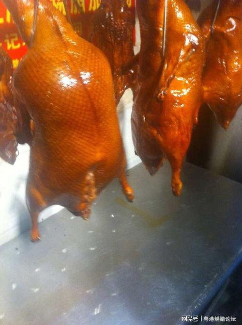 烧鸭视频,揭秘传统烧鸭制作工艺与美味秘诀