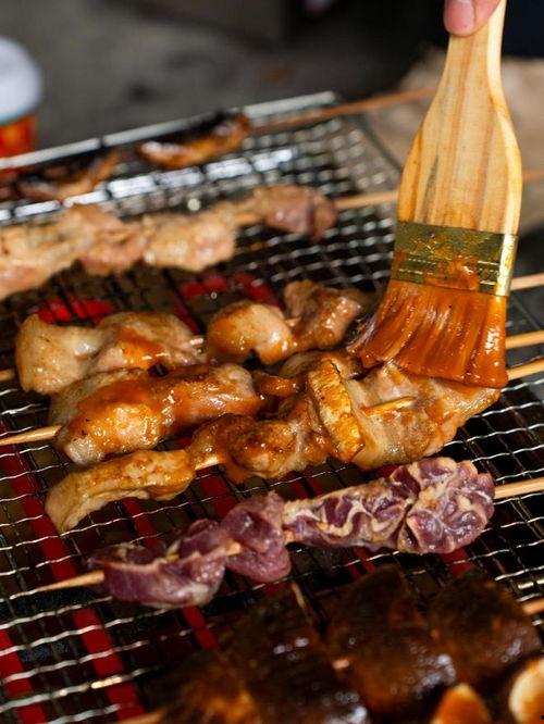 烤烧烤视频,跟随视频领略烧烤魅力