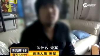 被视频,跟随视频领略数字奇观