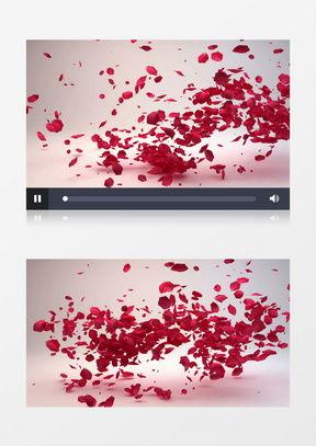 花瓣视频素材,捕捉生活瞬间，展现美好时光