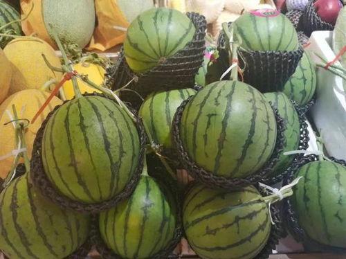 九一吃瓜今日吃瓜,今日热点事件深度解析