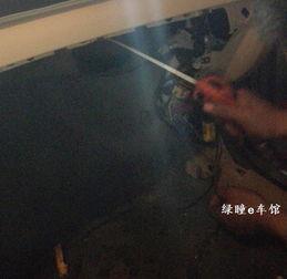 活人长蛆虫清理视频,活人长蛆虫清理过程的震撼记录