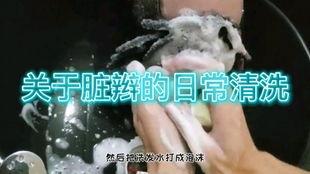 活人长蛆虫清理视频,活人长蛆虫清理过程的震撼记录