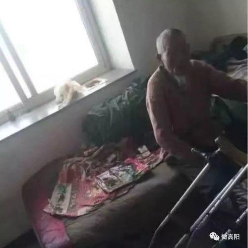 活人长蛆虫清理视频,活人长蛆虫清理过程的震撼记录