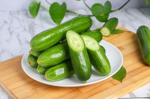 今日份没瓜,静享宁静时光