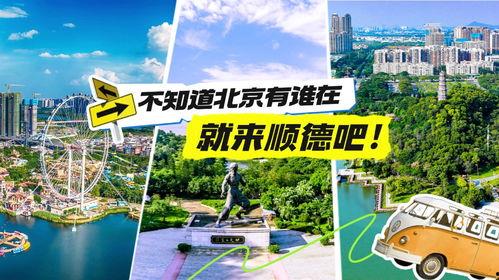 顺德视频,探寻岭南水乡的韵味与魅力