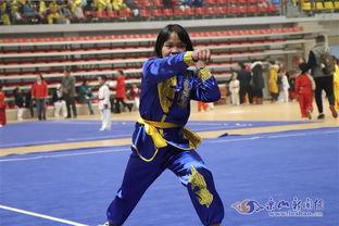 武术比赛视频,精彩武术比赛瞬间回顾