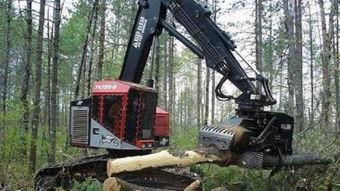 伐木视频,震撼人心的森林作业全记录