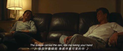 老年同性视频,老年同性伴侣的温馨生活剪影