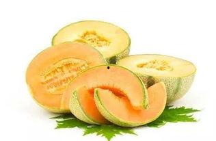 滑县哈密瓜今日价格,价格行情一览”