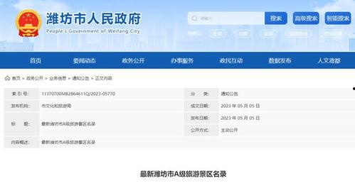 91A级视频,揭秘热门内容背后的精彩故事