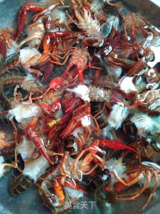 抓小龙虾视频,一场欢乐的田园捕捞之旅