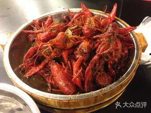 抓小龙虾视频,一场欢乐的田园捕捞之旅